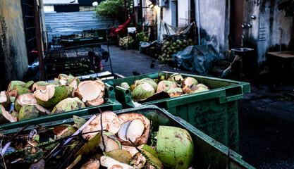 Tropical fruit growing plants southeast asia malaysia