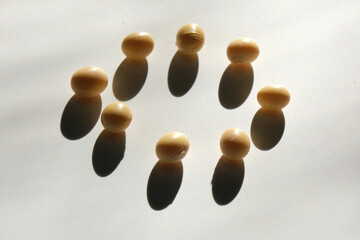 サークルの人々