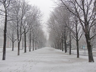 Avenue des Champs Elysées - Snow in Paris