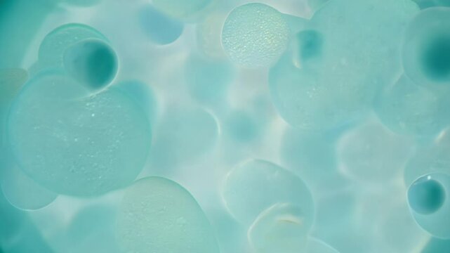 Microscopic view showing cells floating in liquid