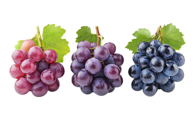 Fototapeta premium Fresh Grapes on Transparent Background