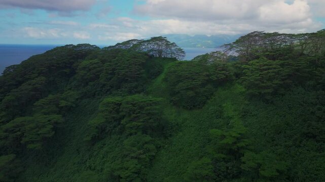 Big Tahiti Island village town vista point Taiarapu Matiti Taravao barrier coral reef South Pacific Ocean French Polynesia aerial drone tropical jungle Mont Rooniu Orohena Papeete morning forward up