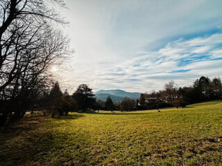 A large field with a few trees in the background