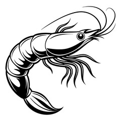 Shrimp Vector Illustration Black and White Stylized Artwork