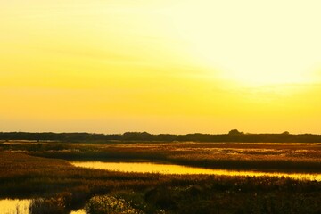 幻想的な夕景　秋の渡良瀬
