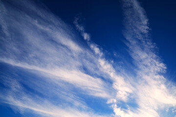 刷毛で描いたような秋の雲