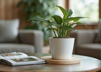 Small artificial green plants decoration in the restaurant or in the living room
