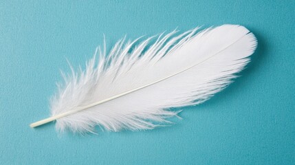 Obraz premium A delicate white feather rests on a soft blue background, showcasing its intricate details and light texture.