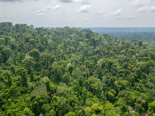 Aerial view of an area of untouched brazilian Amazon rainforest captured by drone