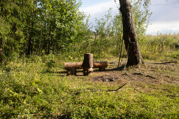 A place for a picnic in the forest. A place for a campfire in the nature.