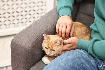 Man petting cute ginger cat on armchair at home, closeup