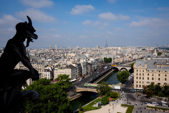 France, Paris, gargoyle on roof of Notre Dame cathedral.