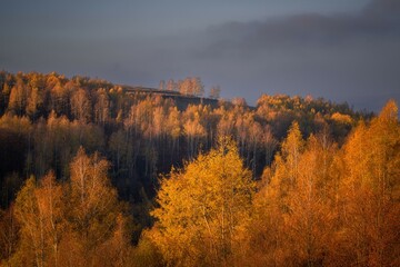 Fototapeta premium Autumn landscape with colorful forest on a hill.