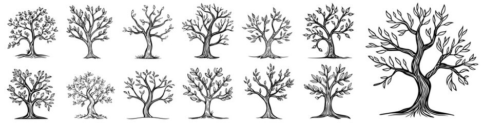 collection of tree silhouettes with bare branches and varied shapes, black vector