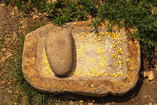 USA, New Mexico, Aztec Ruins National Monument. Metate stone used for grinding grain.