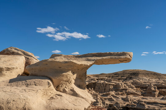 USA, New Mexico, Bisti/De-Na-Zin Wilderness. Mudstone protruding formation in badlands.