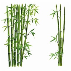 Vibrant Green Bamboo Stalks, the AI Image Generator,