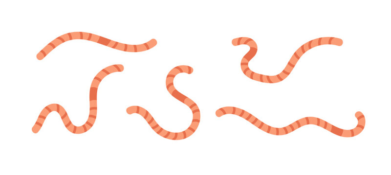 Colorful cartoon worms in various playful shapes on a white background