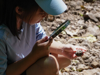 A girl examines rocks through a magnifying glass while exploring the nature of a forest on a sunny day. Outdoor ecology school lesson.