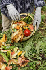 Zero waste, composting concept. Compost heap pile with bio waste close-up. Farmer hands put weeds...