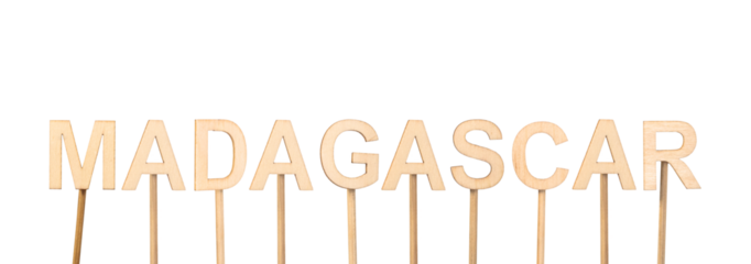 Madagascar name in minimalist style with wooden letters.