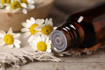 Bottle of essential oil and chamomile flowers on wooden table, closeup