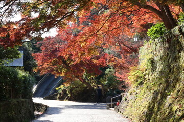 秋の鎌倉、建長寺。紅葉の境内。