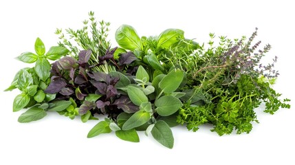Obraz premium A mix of common and exotic herbs loosely displayed and isolated on a stark white background
