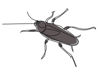 Cockroaches in continuous line drawings and the lines can be edited later.