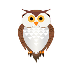 Cartoon owl illustration in flat style