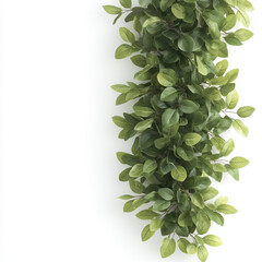 Fototapeta premium Lush green foliage cascading down white background, creating vibrant and fresh atmosphere. Perfect for adding touch of nature to any space