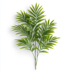 Fototapeta premium Lush kentia palm with graceful arching fronds, perfect for home decor. This vibrant green plant adds touch of nature and elegance to any space, enhancing atmosphere beautifully