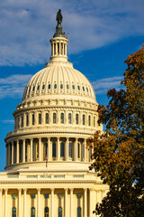 Obraz premium Washington D. C. Capitol. Congress. American Capitol Building. United States Capital. Washington, US landmark. USA Supreme Court. Washington monument. Washington city.