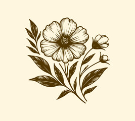 illustration of a flower