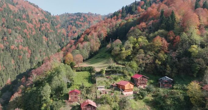 autumn in the mountains