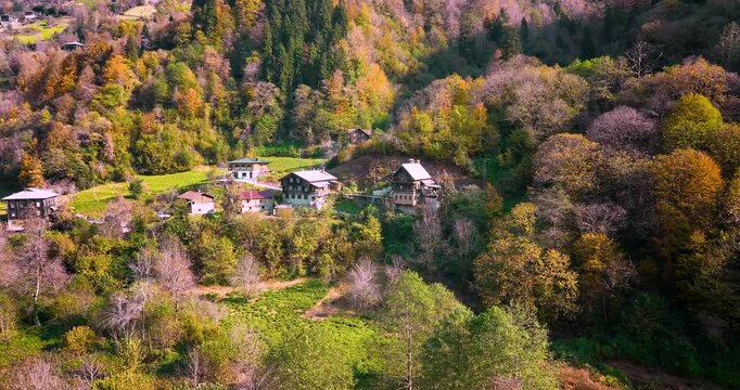 In autumn, mansions in colourful trees. Houses have survived from history. High quality aerial view.