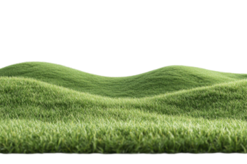 Lush green grass forms soft, rolling hills, creating a serene grassland landscape set against a pure white background. This isolated setting highlights nature's tranquility and simplicity