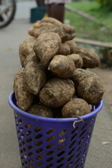 Freshly Harvested Yams in a Purple Basket