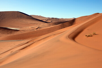 Naukluft Park of Sossusvlei, Namibia