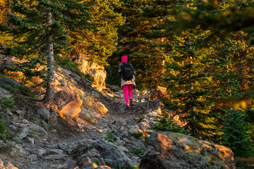 A female hiker in bright clothing navigates a rocky trail through evergreen trees during golden hour in a serene mountain landscape (Fern Lake Trail)