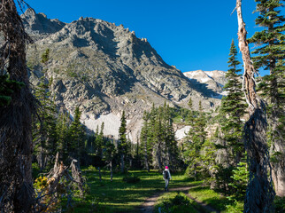 A hiker explores a sunlit path through evergreen trees in a mountainous area during a clear day