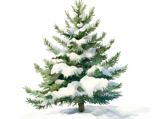 Obraz premium Snow-Covered Evergreen Tree in Winter Scene