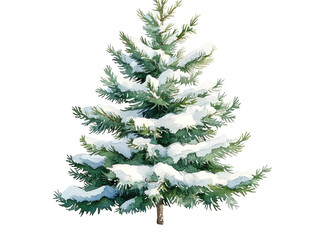 Fototapeta premium Snow-Covered Evergreen Tree with Fresh Snow