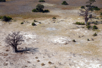 Okavango Delta in Maun, Botswana