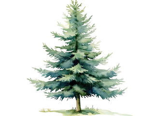 Fototapeta premium Watercolor Landscape Tree Illustration