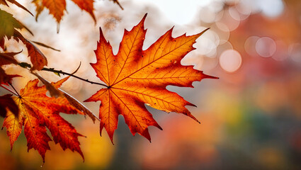Vibrant autumn leaves forming a decorative and seasonal fall background. Generative AI