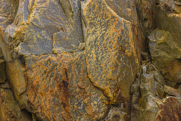 Close Up Of Canadian Shield Rock