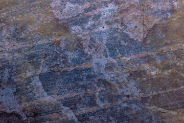 Canadian Shield Rock In Parry Sound