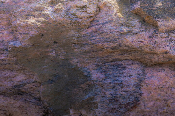 Canadian Shield Rock In Parry Sound
