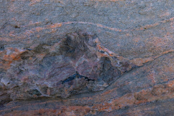 Canadian Shield Rock In Parry Sound